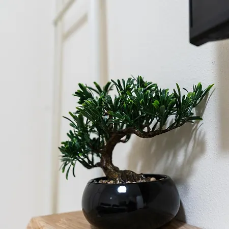 公寓 Escape - 2 Bedrooms 维罗纳